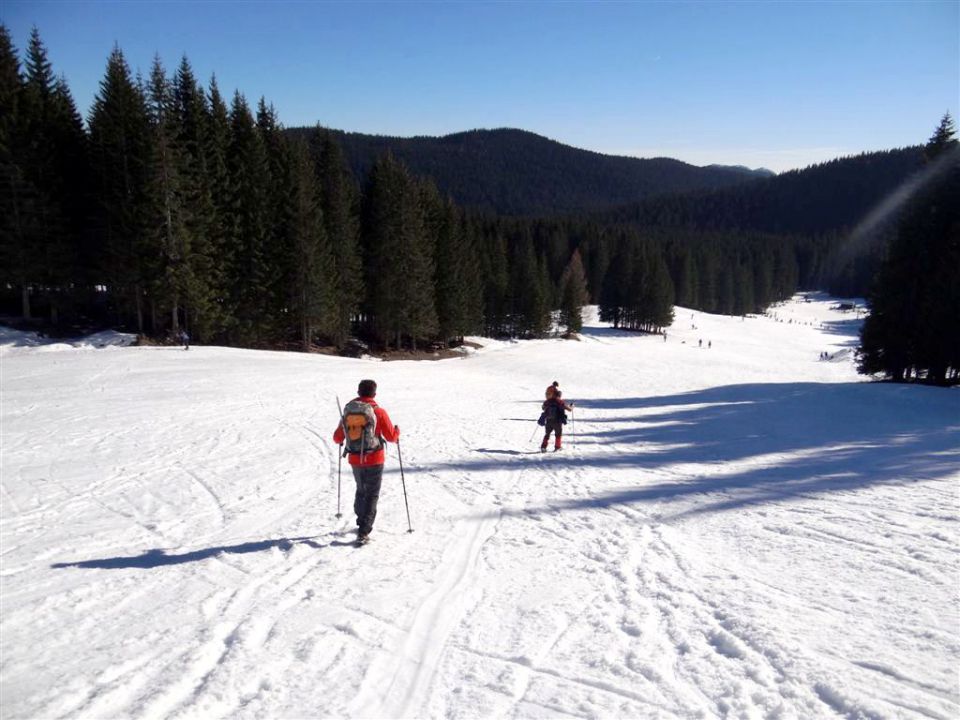 Pokljuka-Viševnik-12.1.2014 - foto povečava