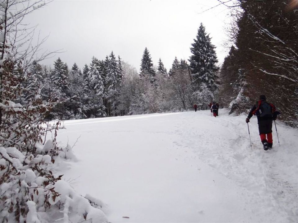 Jevnica-Sv.Miklavž-Geoss-Kresnice-26.1.2014 - foto povečava