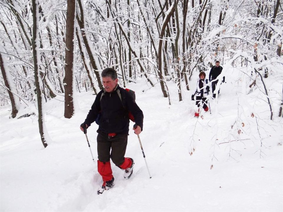 Jevnica-Sv.Miklavž-Geoss-Kresnice-26.1.2014 - foto povečava