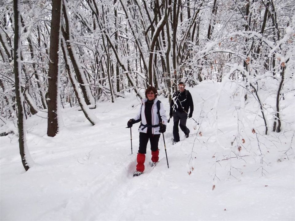 Jevnica-Sv.Miklavž-Geoss-Kresnice-26.1.2014 - foto povečava