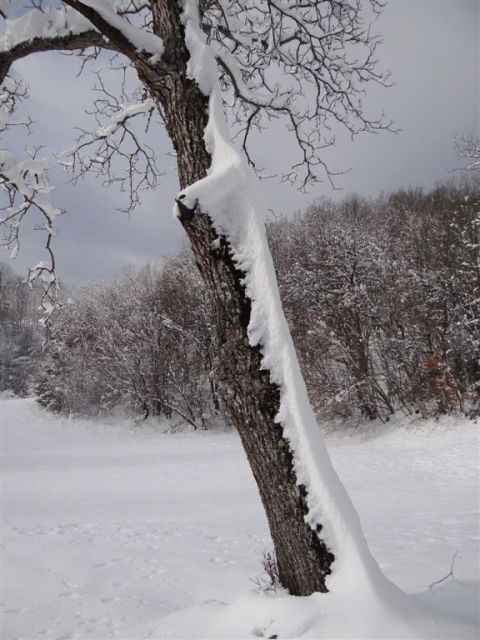 Jevnica-Sv.Miklavž-Geoss-Kresnice-26.1.2014 - foto