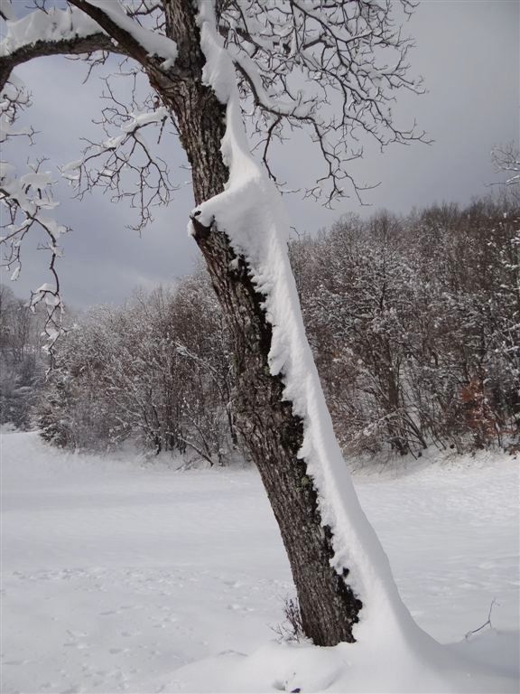 Jevnica-Sv.Miklavž-Geoss-Kresnice-26.1.2014 - foto povečava