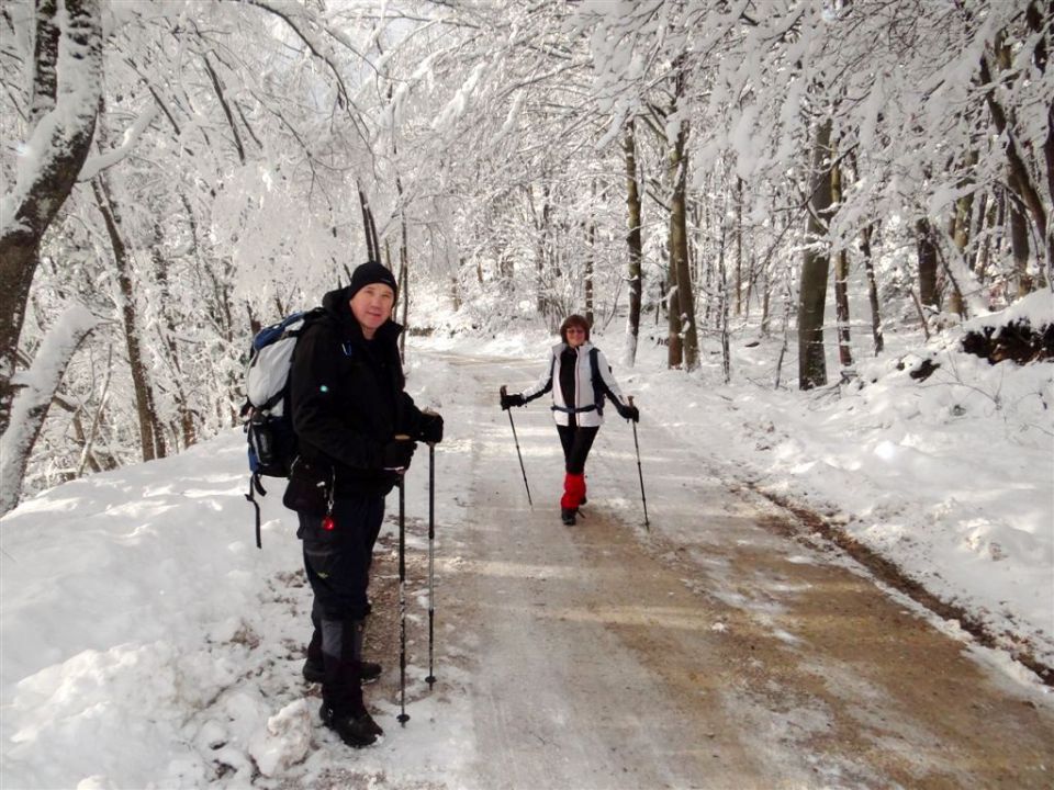 Jevnica-Sv.Miklavž-Geoss-Kresnice-26.1.2014 - foto povečava