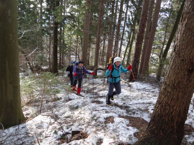 Žekovec-Mozirska koča-Golte-15.2.2014 - foto