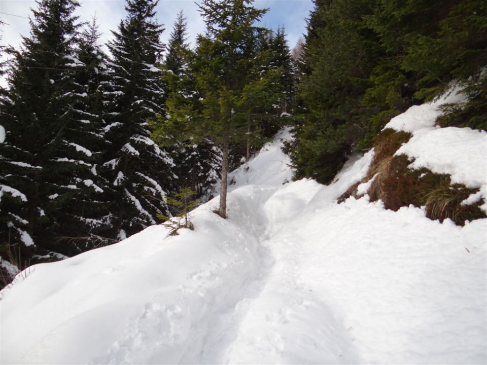 Žekovec-Mozirska koča-Golte-15.2.2014 - foto povečava