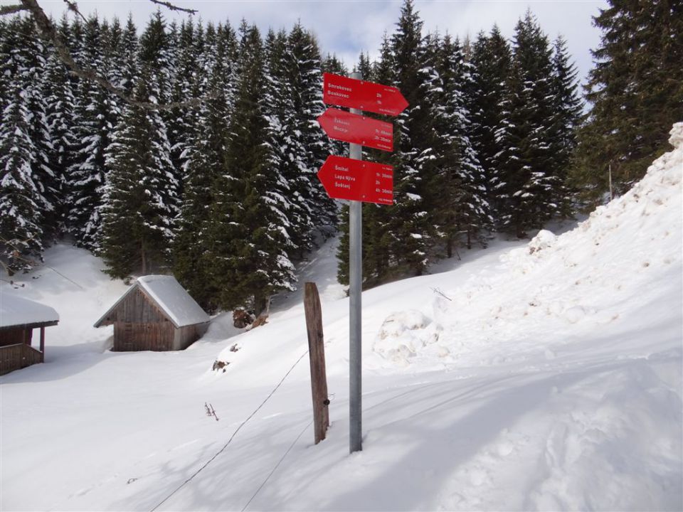 Žekovec-Mozirska koča-Golte-15.2.2014 - foto povečava