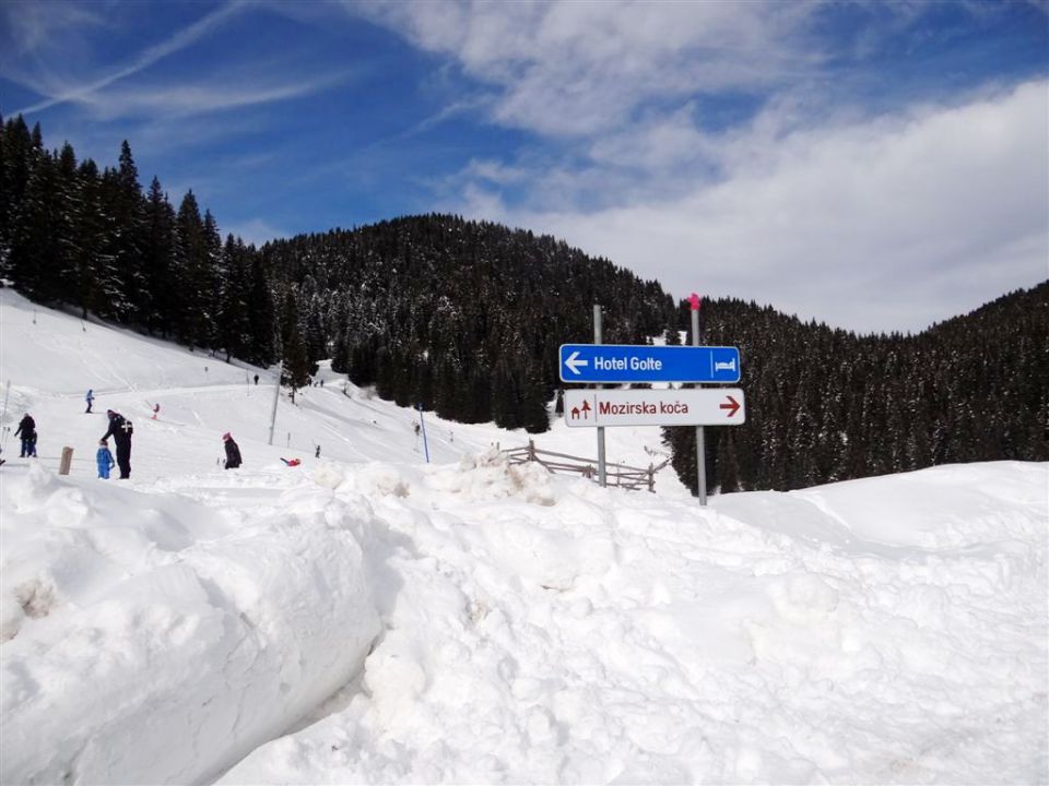 Žekovec-Mozirska koča-Golte-15.2.2014 - foto povečava