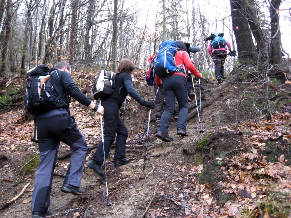 Celje-Celjska k.-Resevna-Šentjur-23.2.2014 - foto povečava