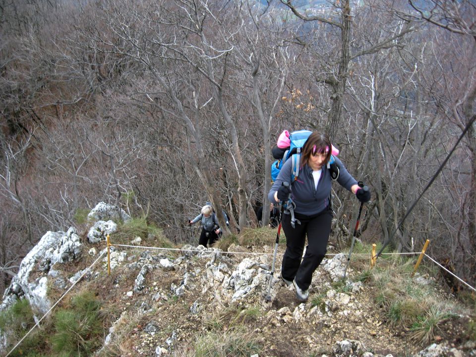 Celje-Celjska k.-Resevna-Šentjur-23.2.2014 - foto povečava