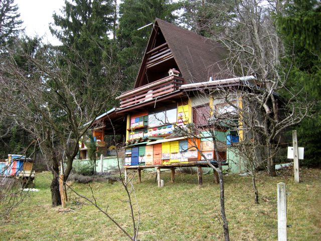 Celje-Celjska k.-Resevna-Šentjur-23.2.2014 - foto