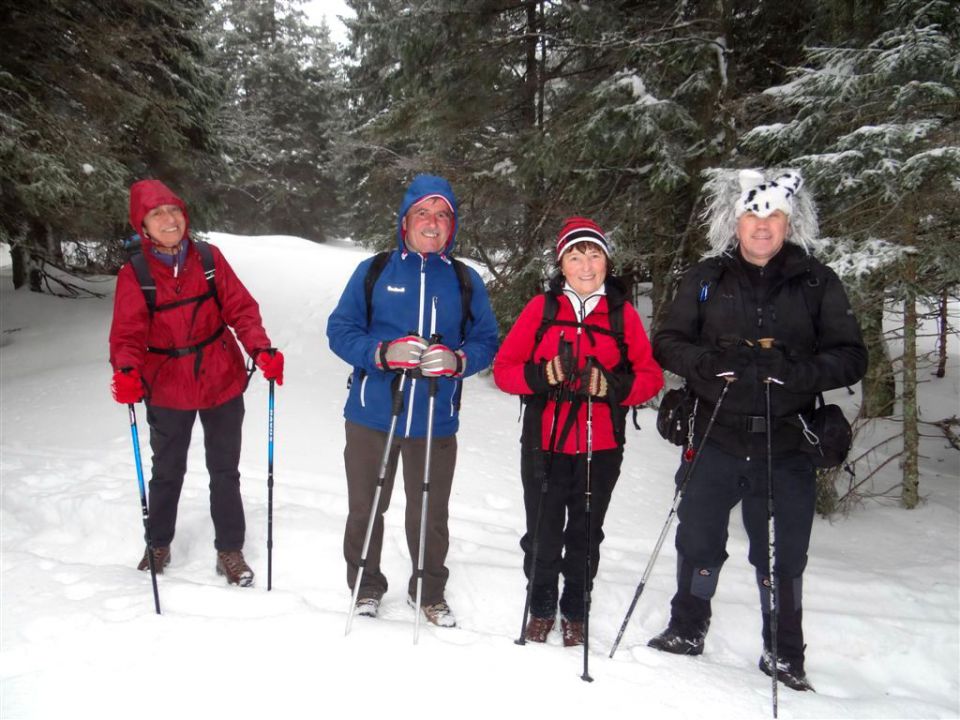 Rogla-Pesek-Klopni vrh-2.3.2014 - foto povečava