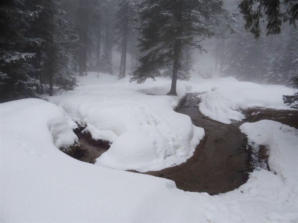 Rogla-Pesek-Klopni vrh-2.3.2014 - foto povečava