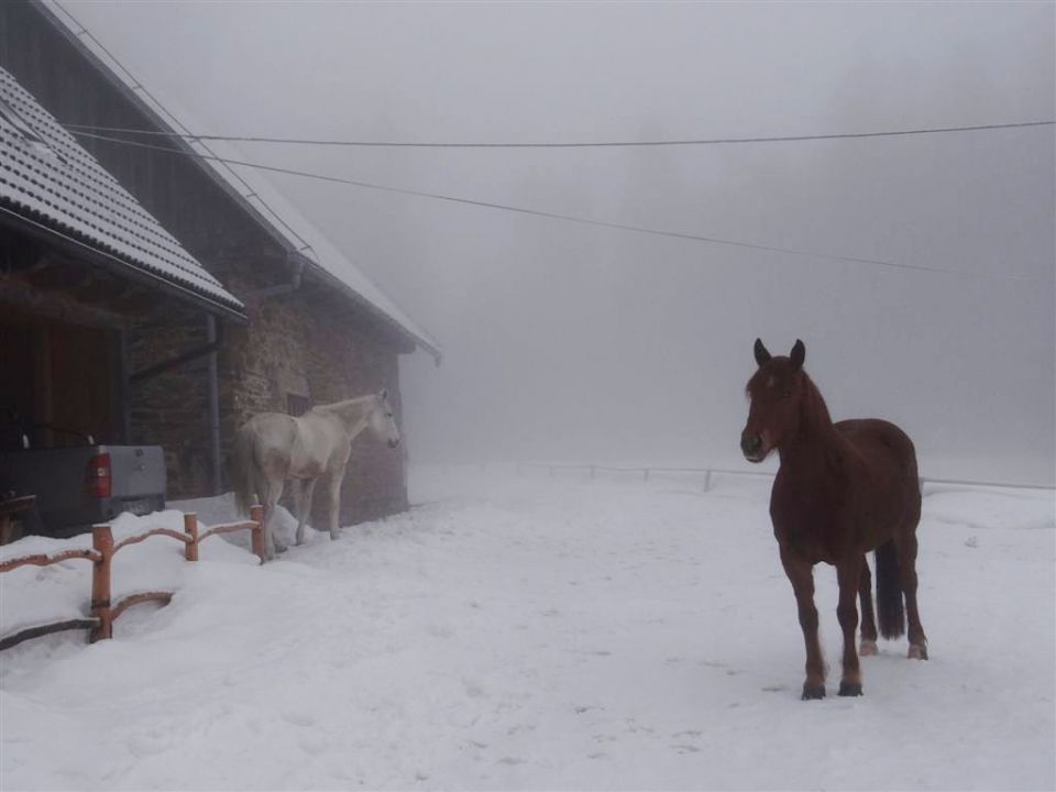 Rogla-Pesek-Klopni vrh-2.3.2014 - foto povečava