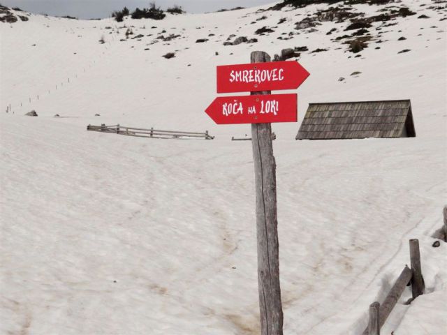 Radušnik-Koča na Loki-Raduha(2062m)-6.4.2014 - foto