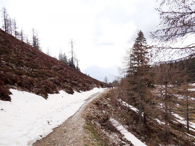 Radušnik-Koča na Loki-Raduha(2062m)-6.4.2014 - foto