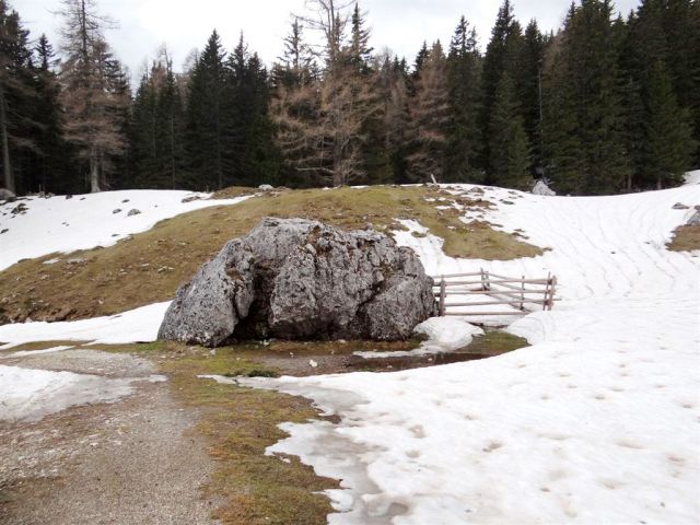 Radušnik-Koča na Loki-Raduha(2062m)-6.4.2014 - foto