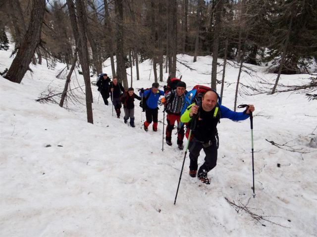 Zajavornik-Blejska k.-Debela peč-13.4.2014 - foto