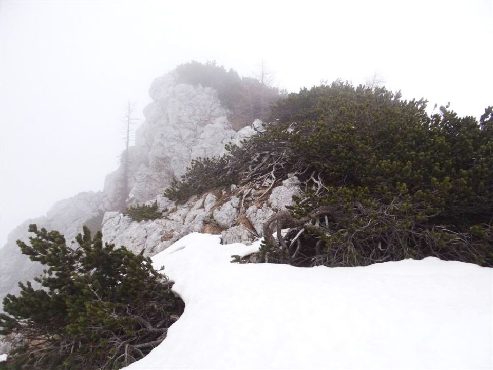 Zajavornik-Blejska k.-Debela peč-13.4.2014 - foto povečava