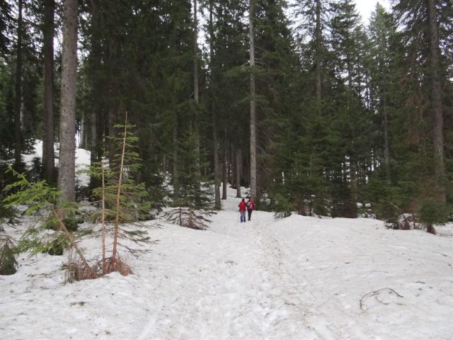 Zajavornik-Blejska k.-Debela peč-13.4.2014 - foto