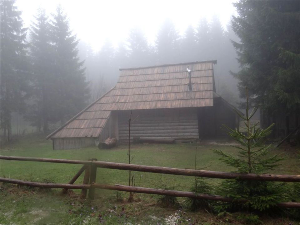 Kranjski rak-Mala pl.-Velika pl.-21.4.2014 - foto povečava