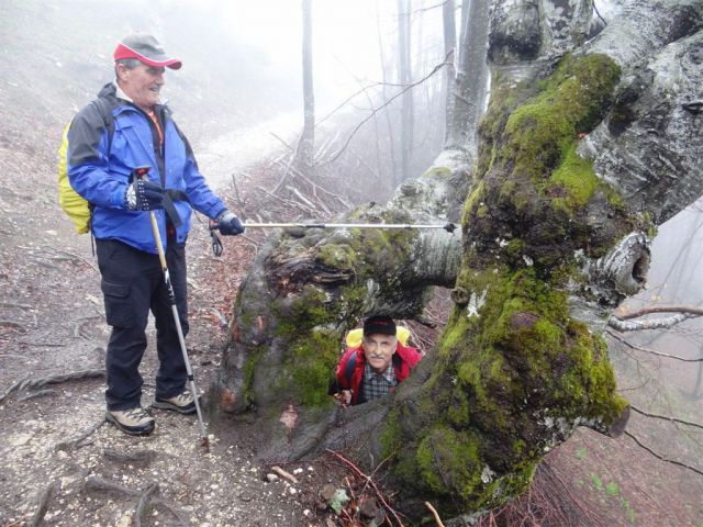 Kranjski rak-Mala pl.-Velika pl.-21.4.2014 - foto