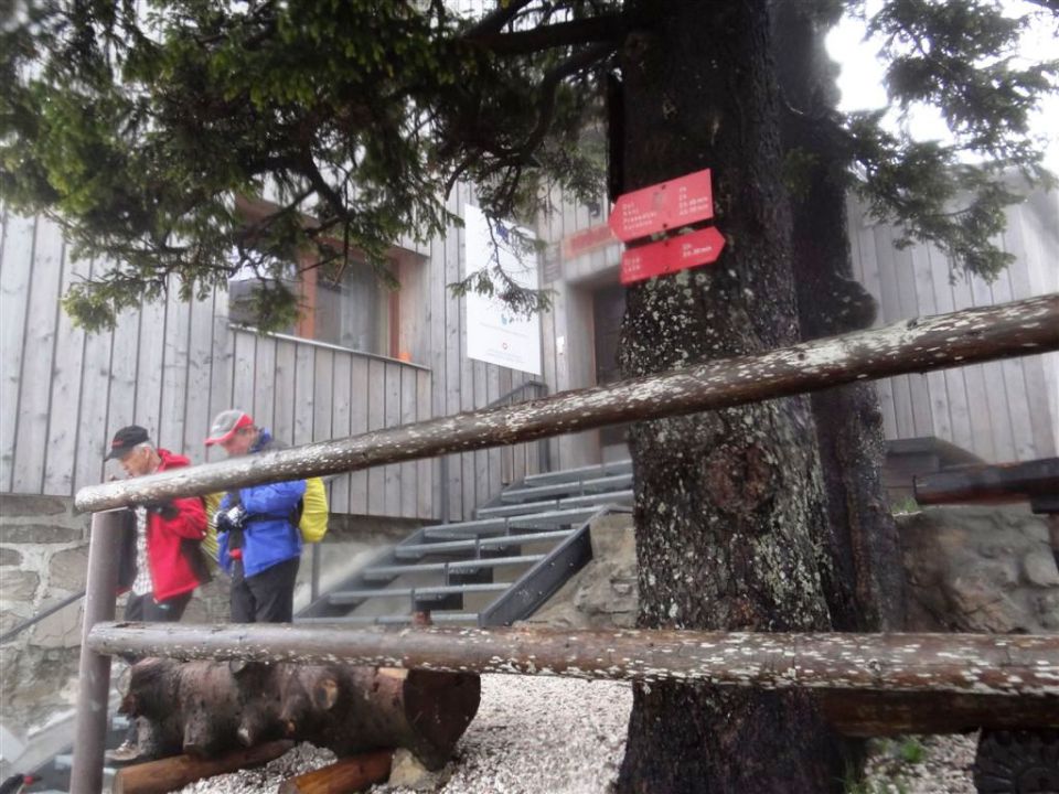 Kranjski rak-Mala pl.-Velika pl.-21.4.2014 - foto povečava