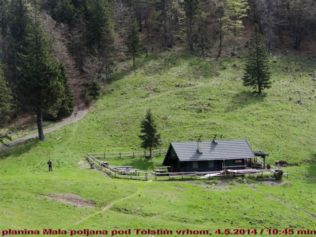 Gozd-Tovsti vrh-Kriška gora-4.5.2014 - foto