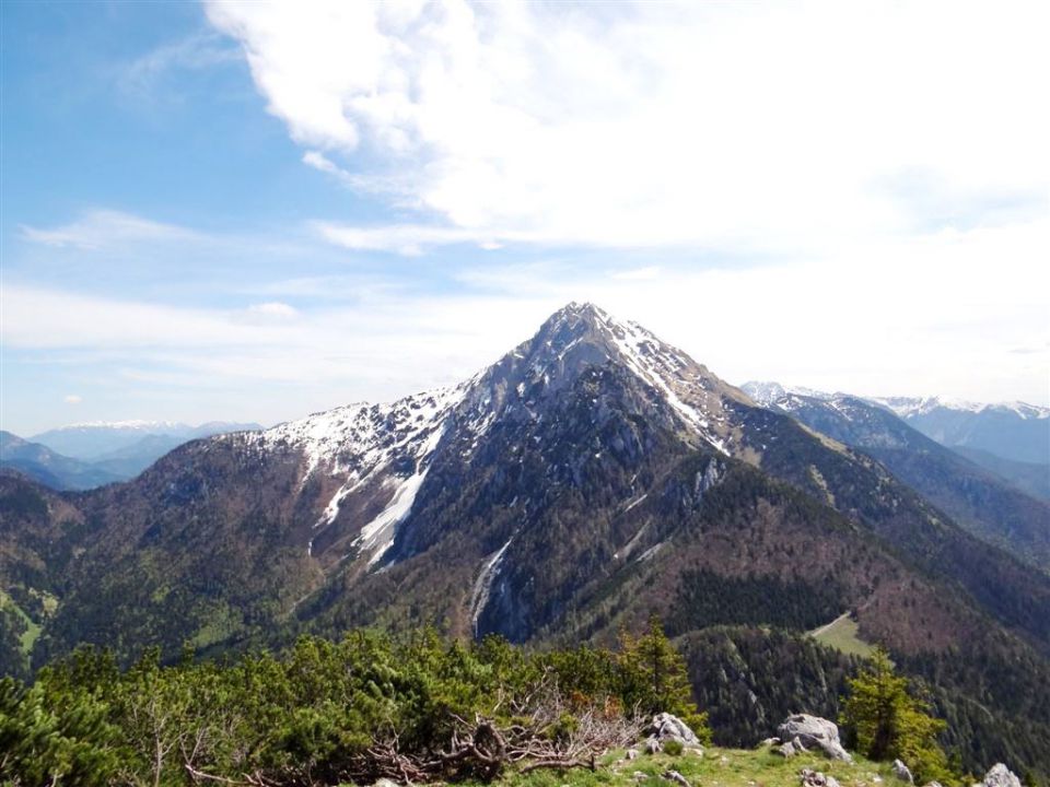 Gozd-Tovsti vrh-Kriška gora-4.5.2014 - foto povečava