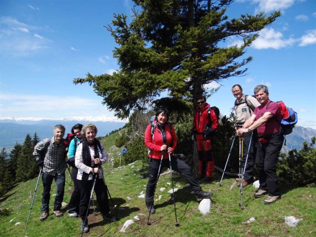 Gozd-Tovsti vrh-Kriška gora-4.5.2014 - foto