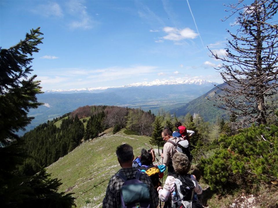 Gozd-Tovsti vrh-Kriška gora-4.5.2014 - foto povečava