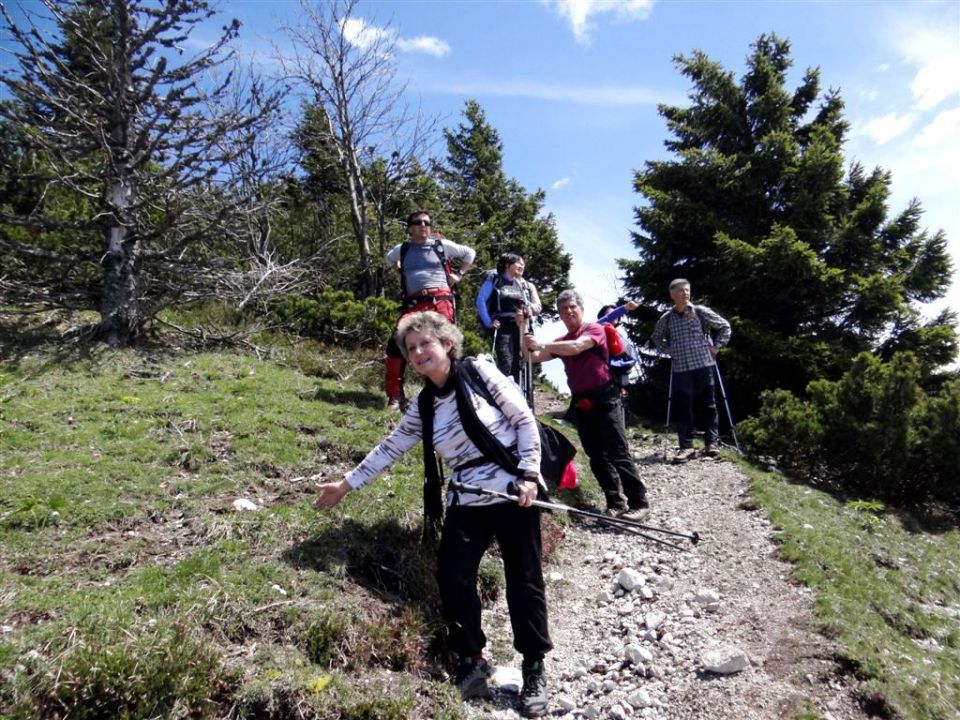 Gozd-Tovsti vrh-Kriška gora-4.5.2014 - foto povečava