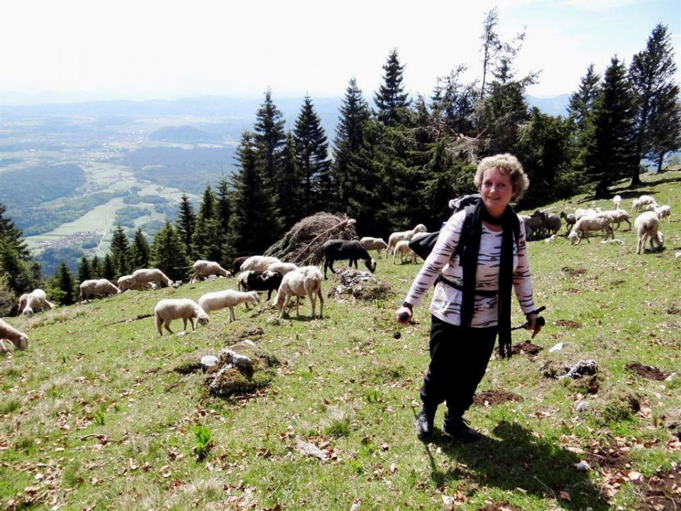 Gozd-Tovsti vrh-Kriška gora-4.5.2014 - foto povečava