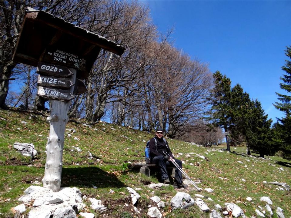 Gozd-Tovsti vrh-Kriška gora-4.5.2014 - foto povečava