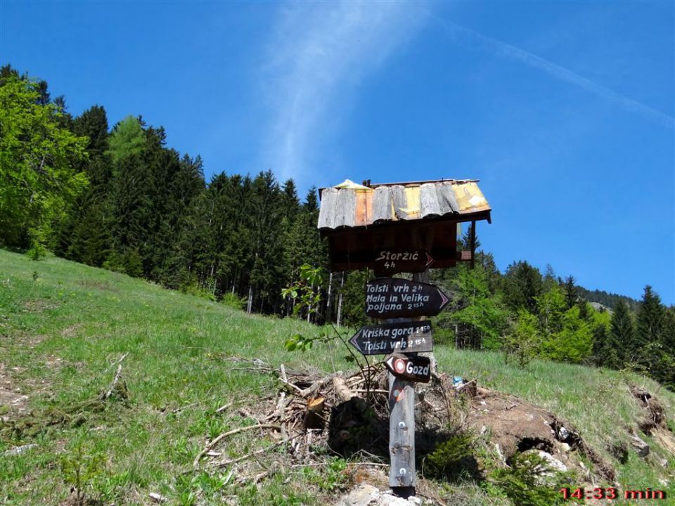 Gozd-Tovsti vrh-Kriška gora-4.5.2014 - foto povečava