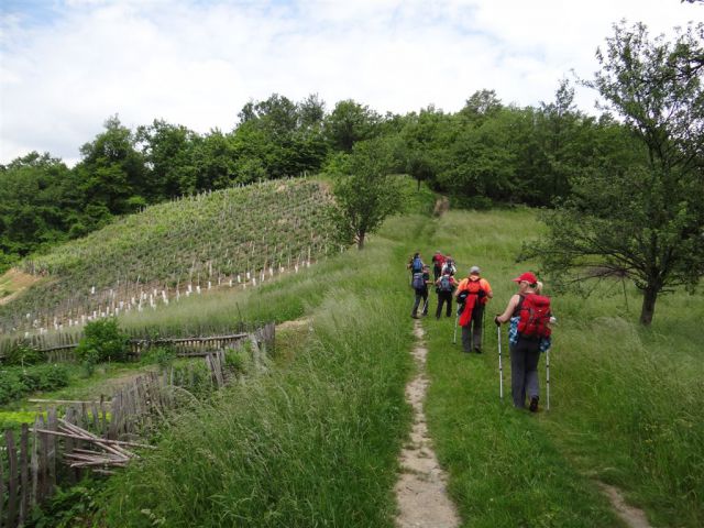 Rudijev dom-Donačka gora-Boč-25.5.2014 - foto