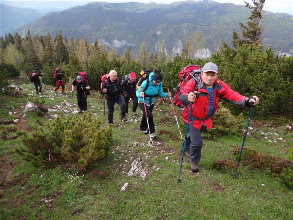 Pl.Podvežak-Lastovec-Lučki dedec-1.6.2014 - foto povečava