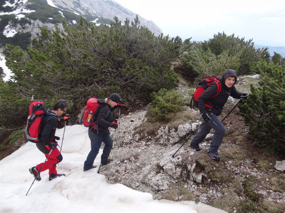 Pl.Podvežak-Lastovec-Lučki dedec-1.6.2014 - foto povečava