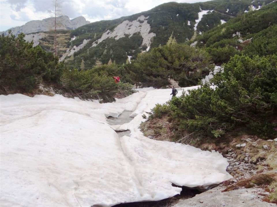 Pl.Podvežak-Lastovec-Lučki dedec-1.6.2014 - foto povečava