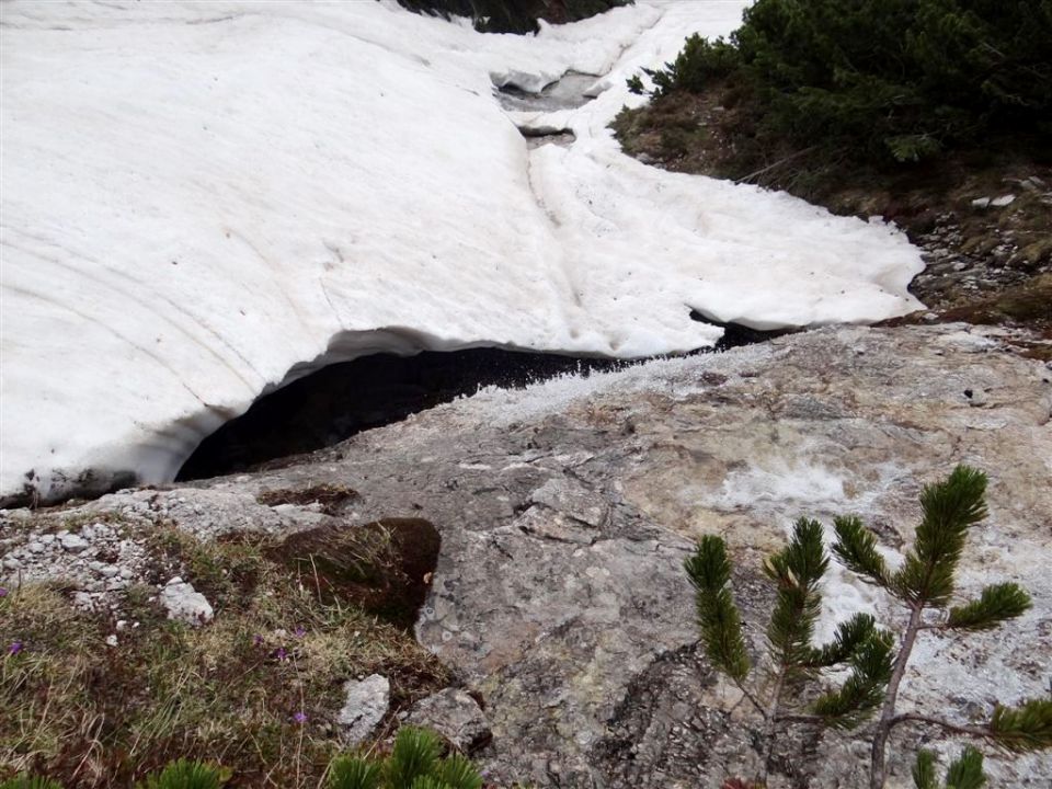 Pl.Podvežak-Lastovec-Lučki dedec-1.6.2014 - foto povečava