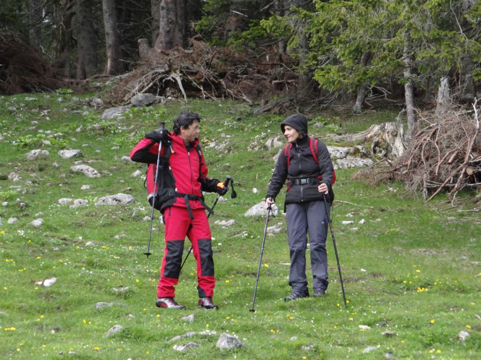 Pl.Podvežak-Lastovec-Lučki dedec-1.6.2014 - foto povečava