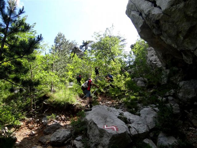 Paklenica-Vaganski vrh-Velebit-6.6.-8.6.2014 - foto