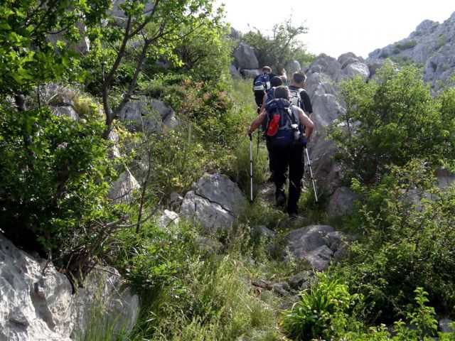 Paklenica-Vaganski vrh-Velebit-6.6.-8.6.2014 - foto
