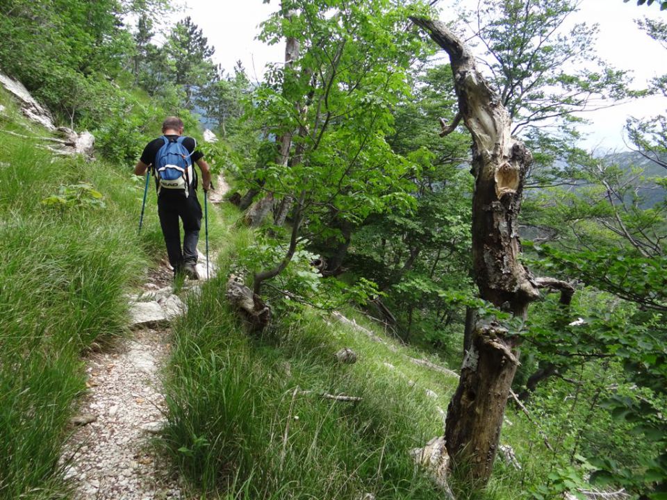 Paklenica-Vaganski vrh-Velebit-6.6.-8.6.2014 - foto povečava