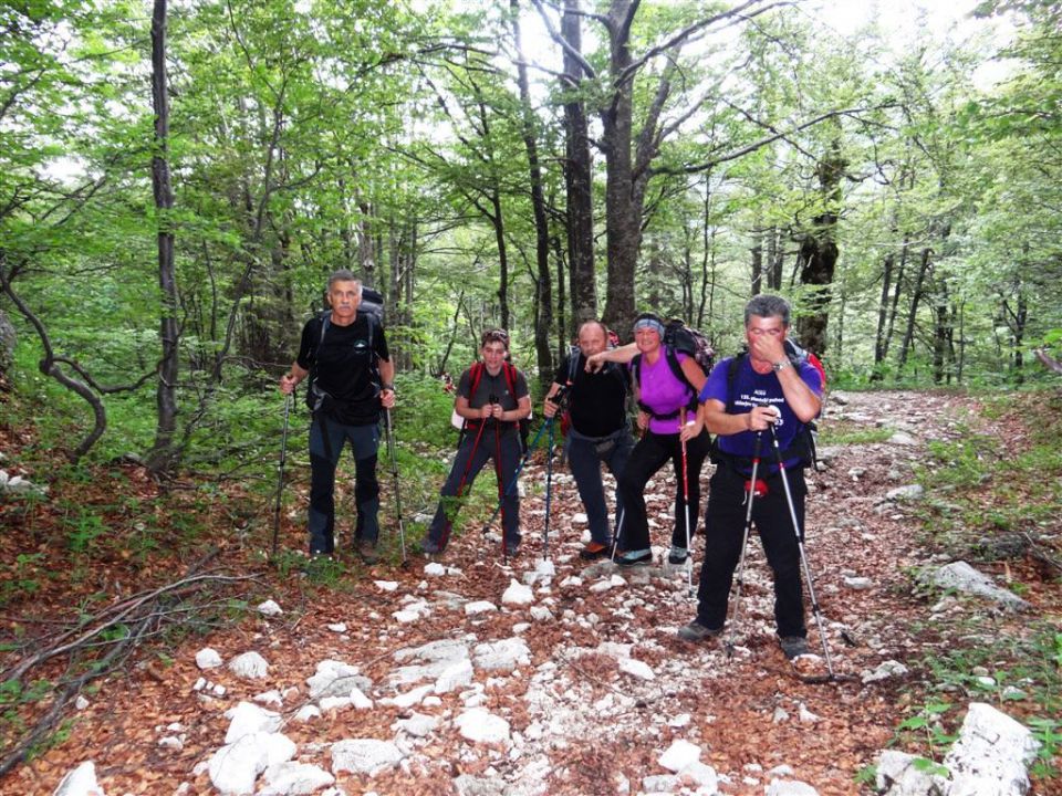 Bohinj-Komna-Bogatin-15.6.2014 - foto povečava