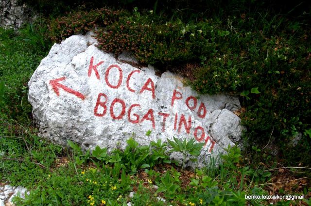 Bohinj-Komna-Bogatin-15.6.2014 - foto