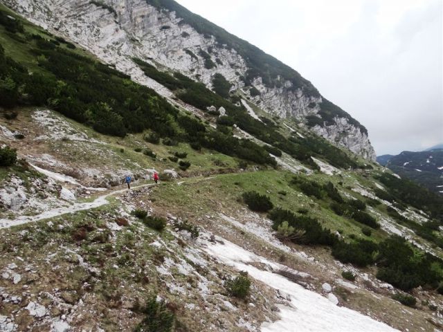 Bohinj-Komna-Bogatin-15.6.2014 - foto