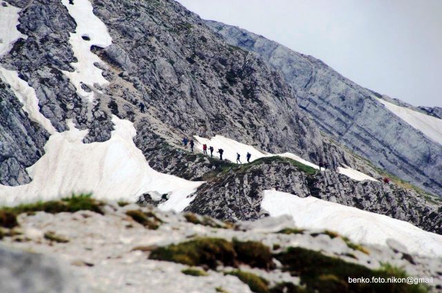 Bohinj-Komna-Bogatin-15.6.2014 - foto