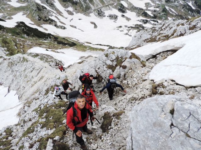 Bohinj-Komna-Bogatin-15.6.2014 - foto