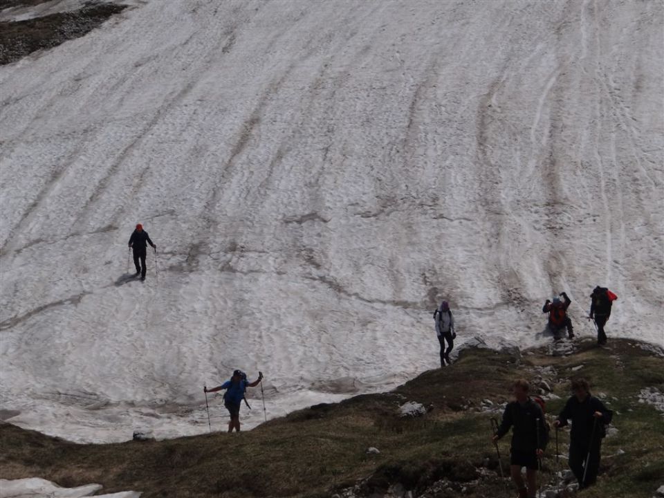 Bohinj-Komna-Bogatin-15.6.2014 - foto povečava