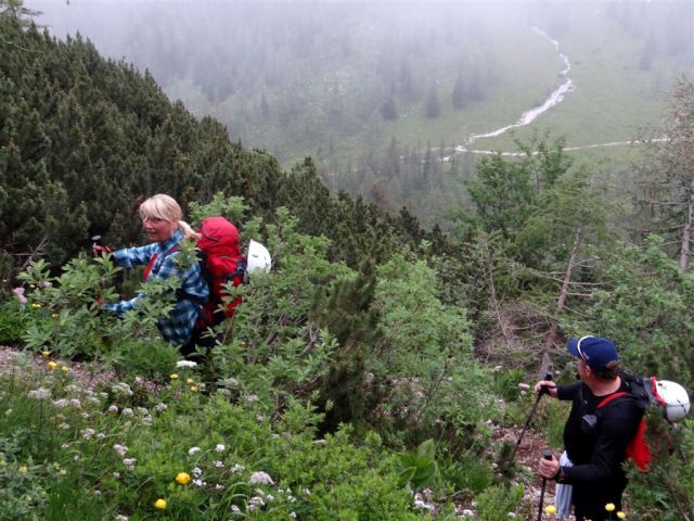 Ljubelj-Zelenica-Begunjščica-29.6.2014 - foto